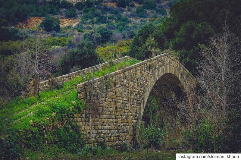 The hardest thing in life is to know which bridge to cross and which to... (Lebanon)