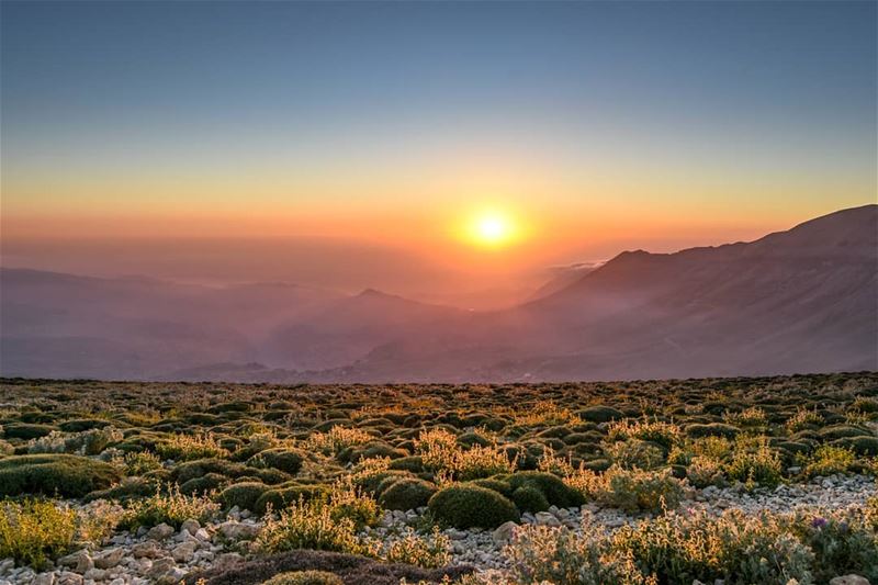 The last light from 3000m | The sunset at this altitude is totally a... (Qornet es Saouda)