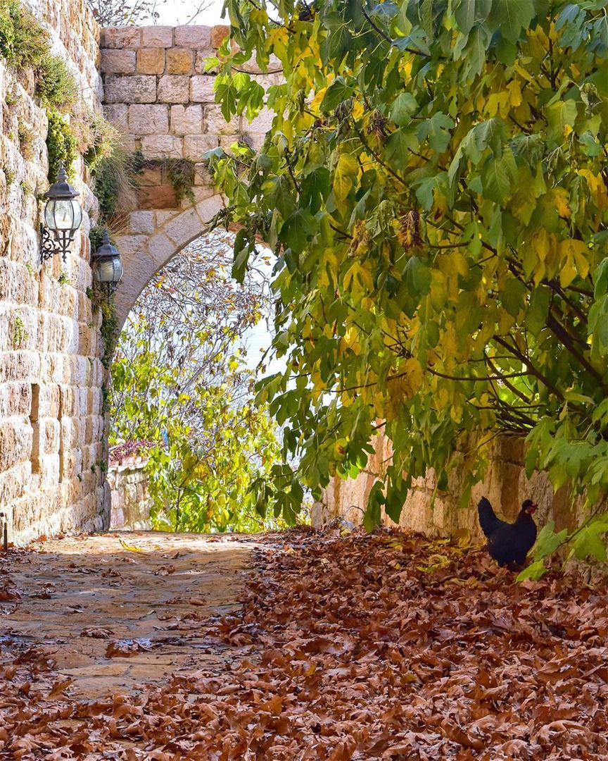 The leaf of every tree brings a message from the unseen world. Look, every... (Ehden, Lebanon)