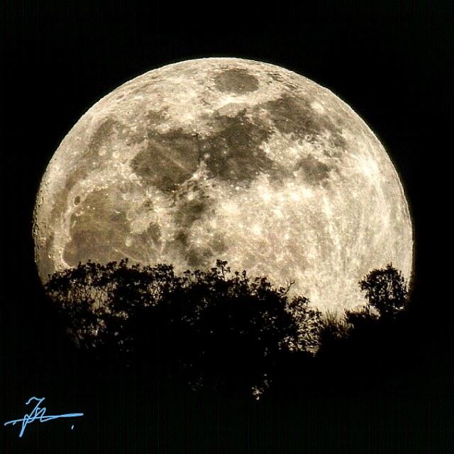 The moon is a friend for thelonesome to talk to.  insta_lebanon ...