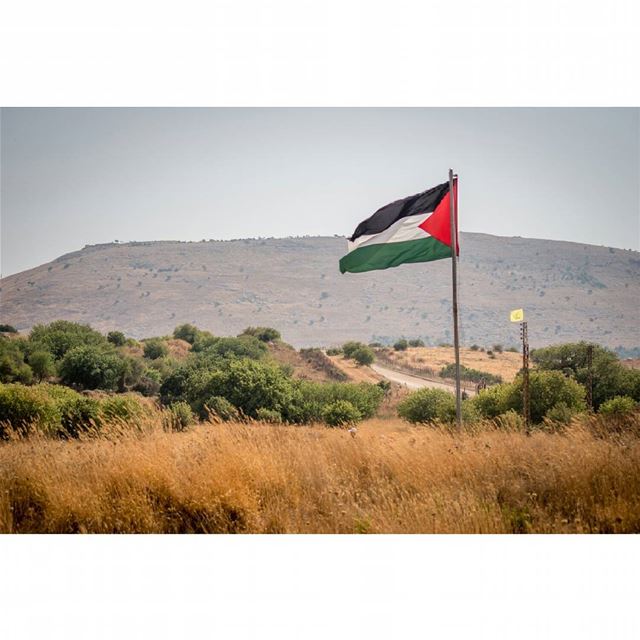 The occupied lands of palestine from the lebanese borders  palestine ... (Aytaroun عيترون)