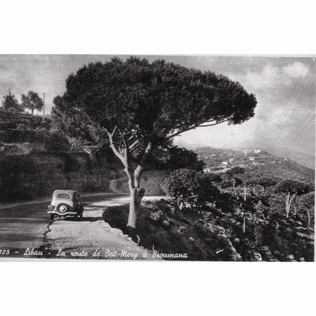 The Old Road - Beit Mery & Broumana 1939 .