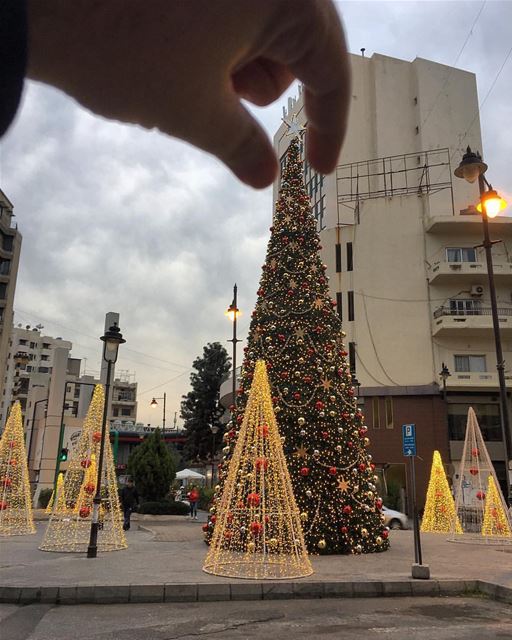 The perfect Christmas 🎄?All Christmas trees are perfect 👌By @peterghani (Achrafiyé, Beyrouth, Lebanon)