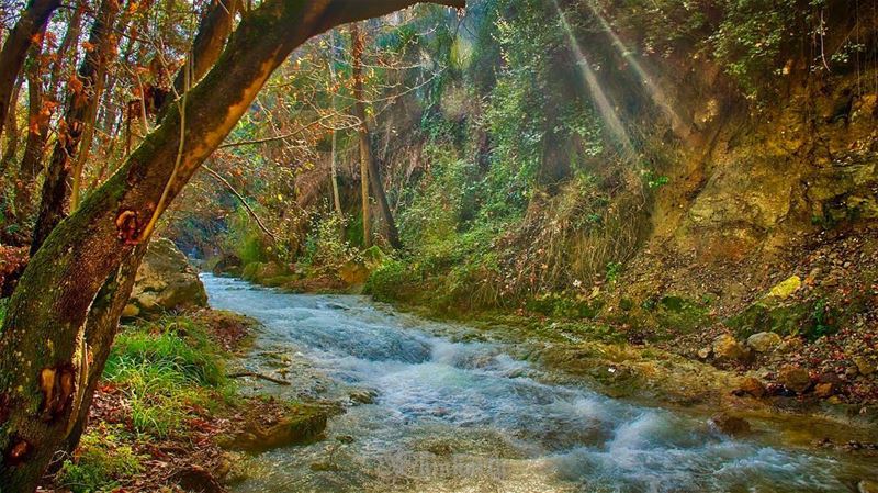 The river runs to youThrough desert, dust and youStill owe me something;... (Baaklin, Mont-Liban, Lebanon)
