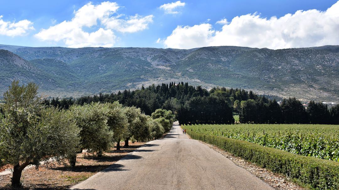 The Road of the Manor----------------------------- nature  mountains ... (Chateau Kefraya)