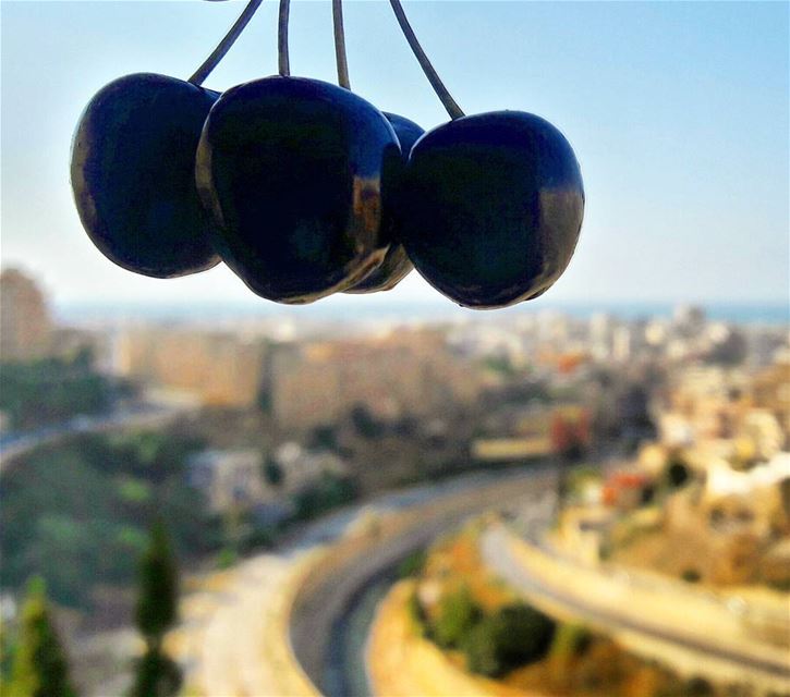 The sexiest fruit ever!🍒🍒🍒  cherries  Lebanon  Lebanese  Castle  ... (Tripoli - Abi Samra)
