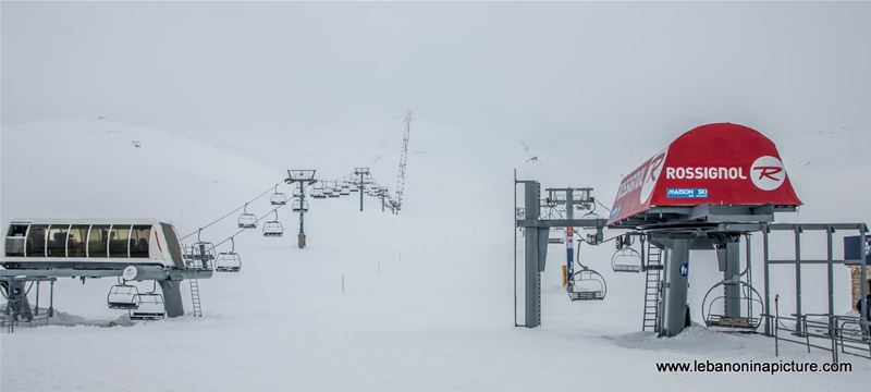 The Ski Season Have Just Started (Warde, Mzar, Lebanon)