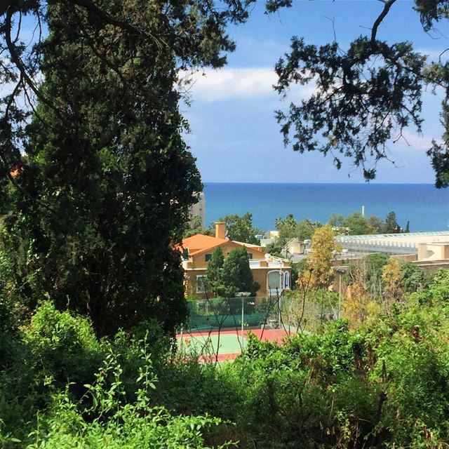 The sky, the sea and a touch of green... 🌿🌱🍃🌺🌸🌼 .. aub ... (American University of Beirut (AUB))
