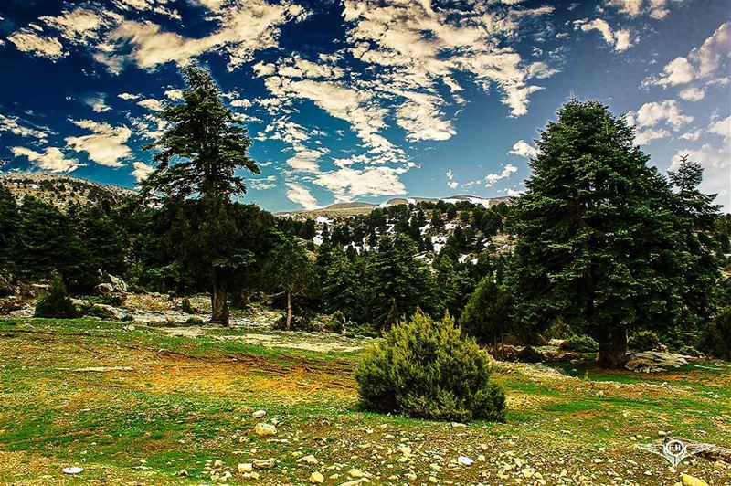 The view at Arz El Chouh PHOTOARENA  Fatalaframes  MoodyGrams  landscape...