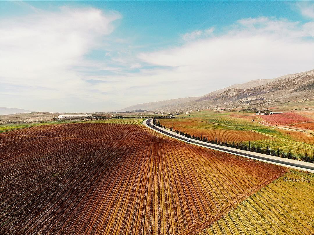 • The Vineyard Land 🍇 • luna_drone  drone  mavicair  mavic  wallpaper ... (West Bekaa)