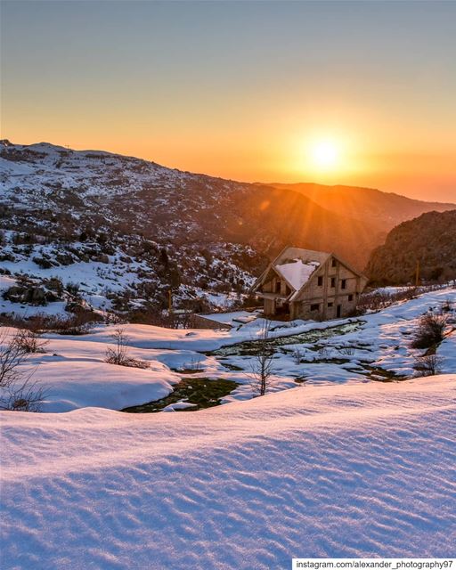 The white blanket - Golden hour at Mount Sannine heights. The sunset light... (Sannin, Mont-Liban, Lebanon)