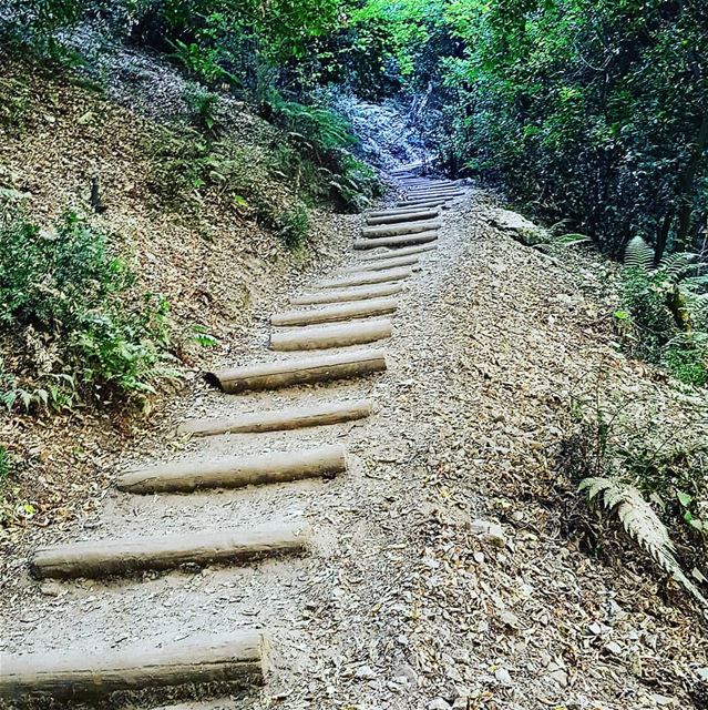 The world is made of stairs, those who go up and those who go down.... (Chouène, Mont-Liban, Lebanon)