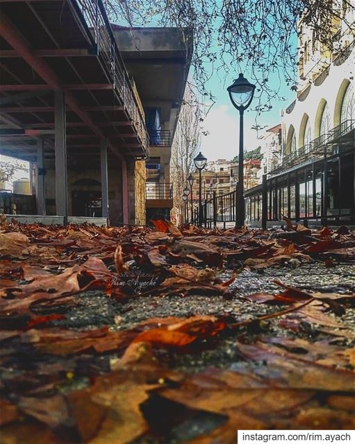 There is a subtle magic in the falling of old leaves.🍁🍂 lebanon_hdr ... (Al Midan Ehden)