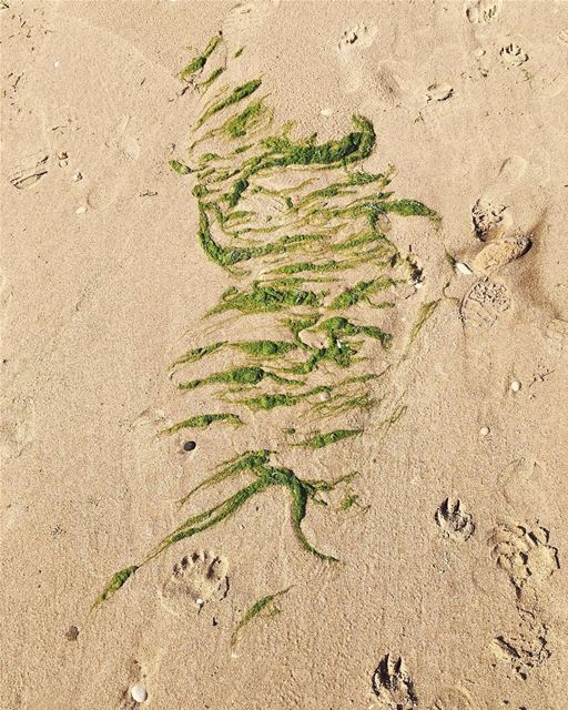 There is no artist more creative than nature 🌊  beach  sun  art  artistic... (Byblos, Lebanon)