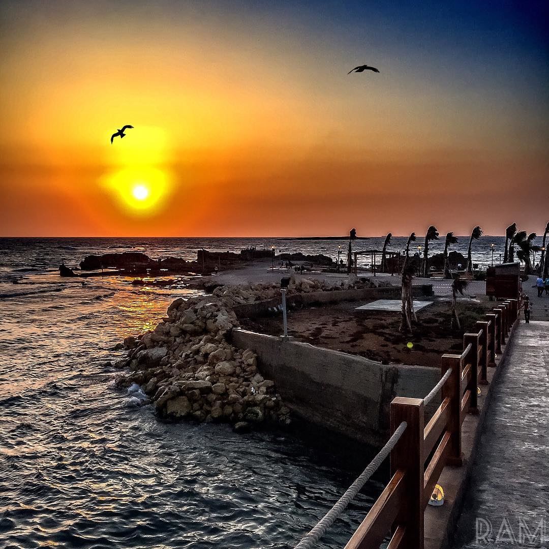 There's a place I go to where no one knows me..It's not lonely..It's a necessary thing. (Corniche El Mina Tripoli)