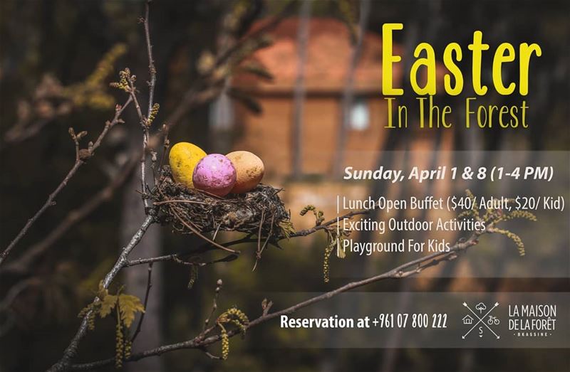 There's no better place to celebrate Easter than in the Forest! 🌳🐤This...