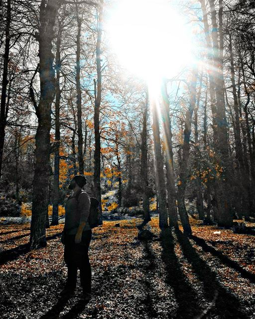 There's something  Magical in this  Forest 😍🌞🍁🍂 Autumn  Hike  3ezer ... (`Akkar, Liban-Nord, Lebanon)
