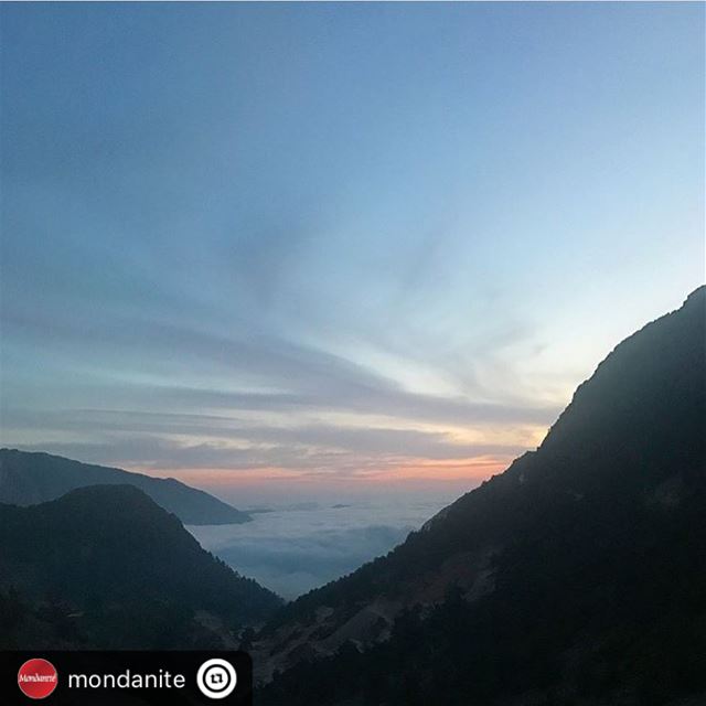 This post was reposted using @the.instasave.app   theinstasaveapp・・・"I’ve