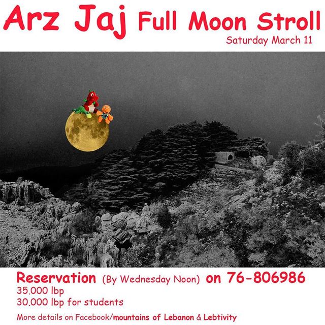 This Saturday Full Moon Stroll around the Cedars Grove at Jaj, Jbeil... (Jaj, Mont-Liban, Lebanon)