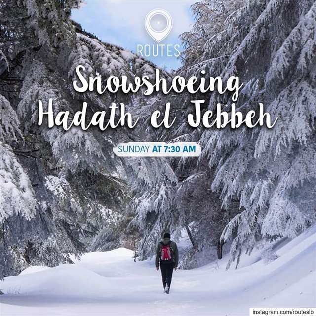 This Sunday we will get lost in the wonderful scenery of Hadath el Jebbeh!... (Hadath Al Jubbah, Liban-Nord, Lebanon)