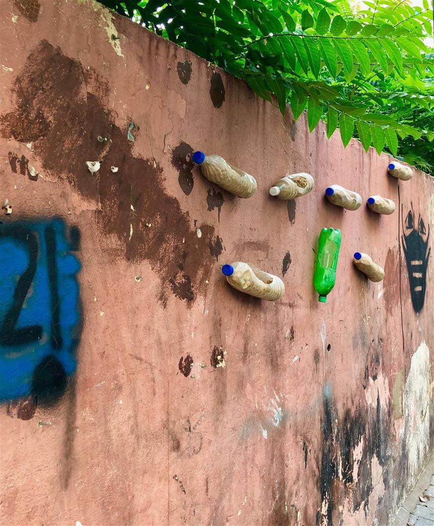 Three-dimensional wall art. Or cute mice housing? Bird feeders?  beirut ...