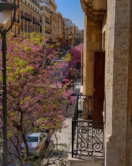 Throw away all negative vibes from your balcony..🍃🌸🍃.. hello spring... (Downtown Beirut)