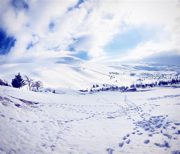  throwback  snow  winter  vibes  mountainfellas  white  mountains ... (Cedars of God)