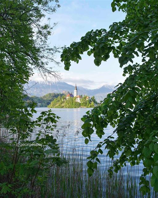 Throwback 🚣🏻  TBT ... wow_planet  fantastic_earth  bestplaces_togo ... (Lake Bled Slovenia)