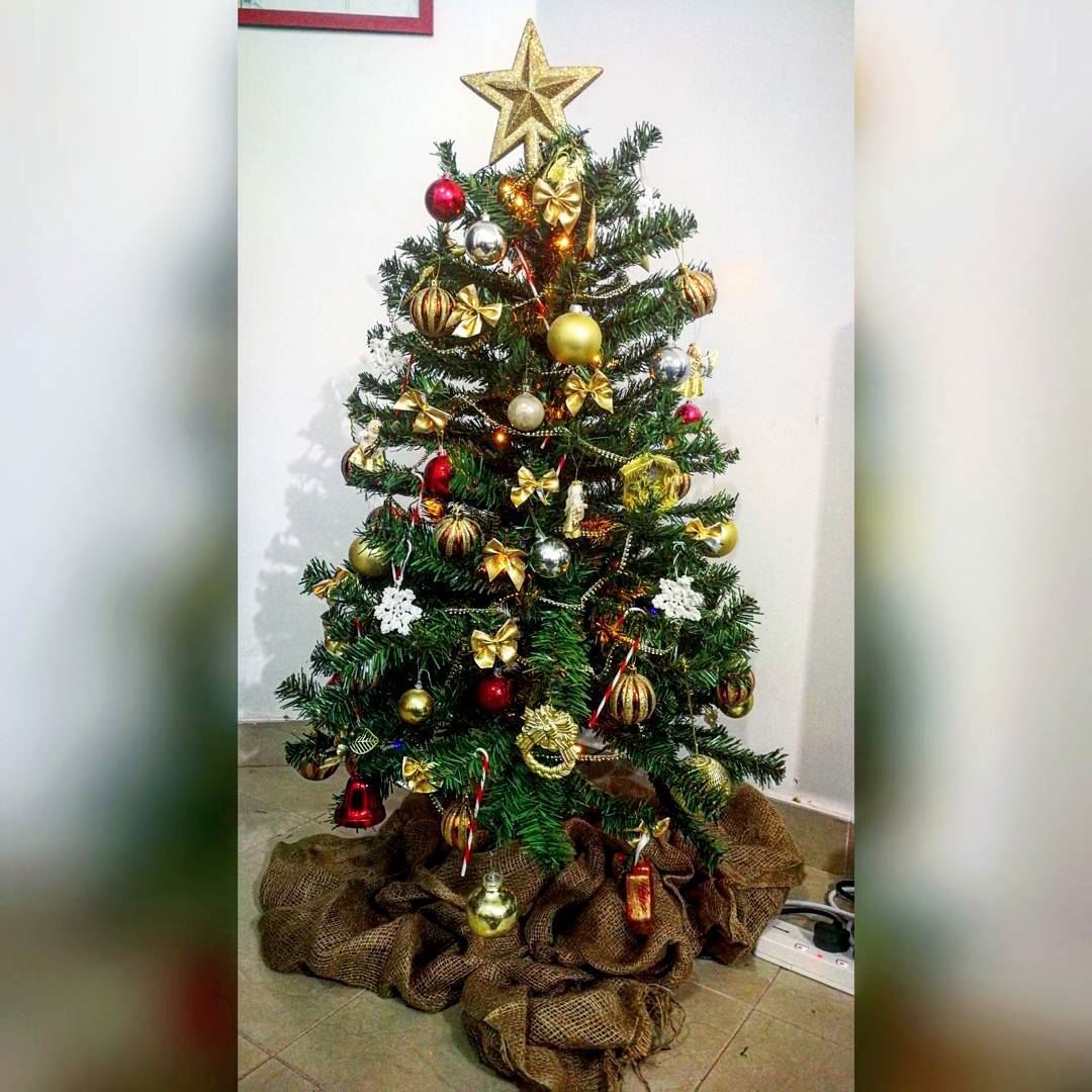 Tis the season to be Jolly 🎄🎁☃️ Merry Christmas everyone, wishing you... (Abu Dhabi, United Arab Emirates)