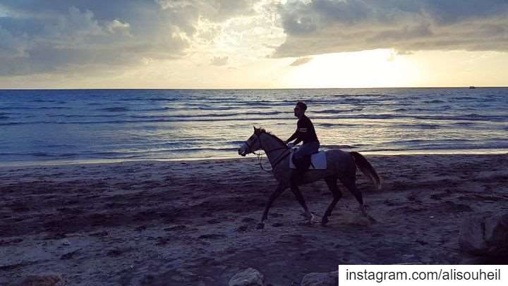  today  sunset  horse  beach  tyre  southlebanon  sea  slowmotion  love ... (Tyre, Lebanon)