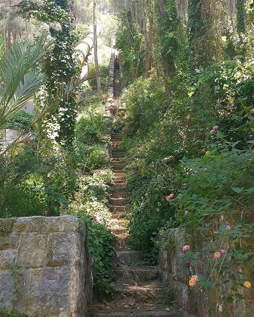 Trail of stairs ... 788 steps 😌💚  kaftoun ... (Kaftoûn, Liban-Nord, Lebanon)