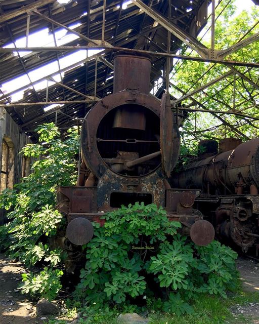  train  old  nostalgia  rusty  tripoli  lebanon ...