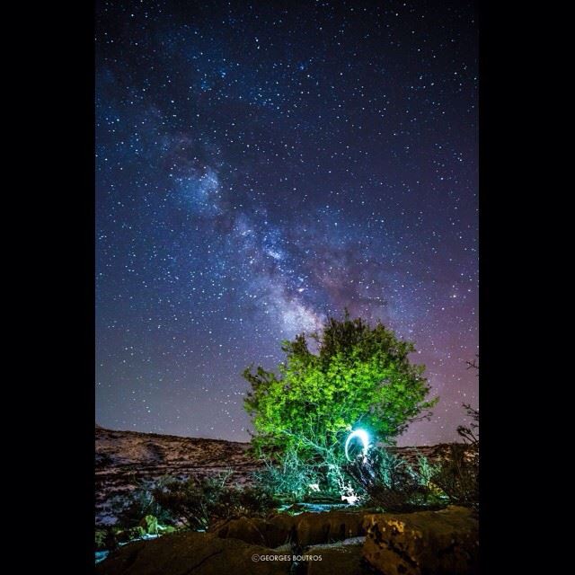 Tree Of Life.Another Shot from yesterday, taken at hadath al jebbe, with... (Hadath Al Jubbah, Liban-Nord, Lebanon)