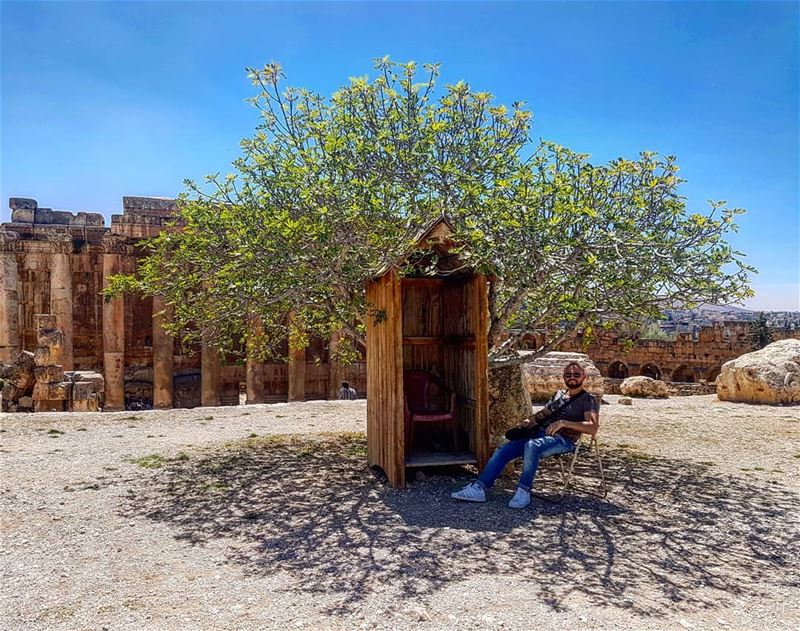 Tree of the dayPhoto credit: The guard who were sitting on that chair... (Baalbek, Lebanon)