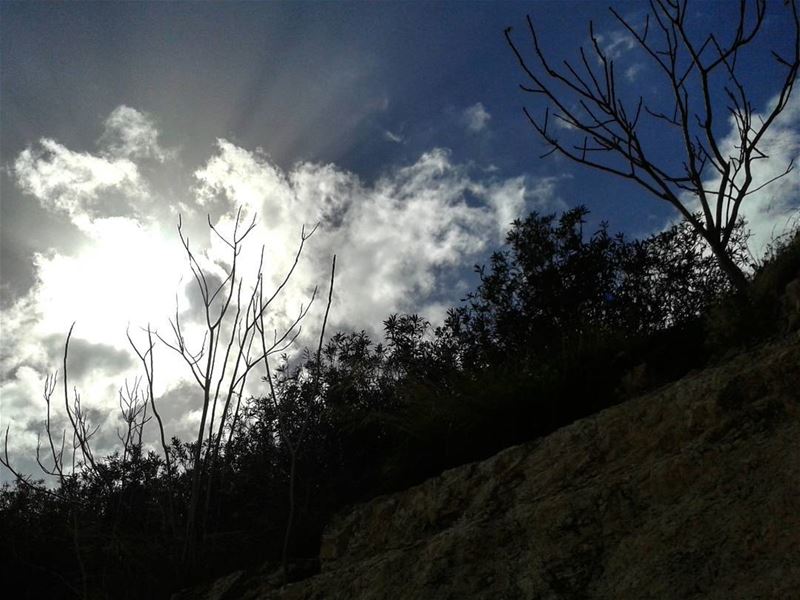 ⛅🌿 tree trees tree_magic treestagram clouds sun landscape lebanon beirut... (Beirut, Lebanon)