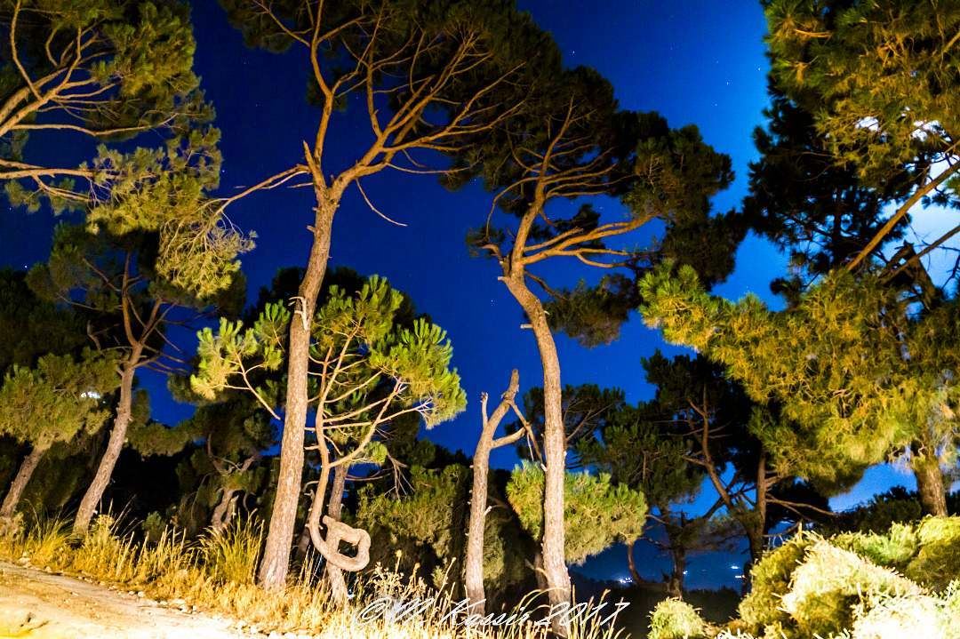  trees  mountain  moonlight  ngconassignment  Lebanon  ig_great_shots ... (Baskinta, Lebanon)