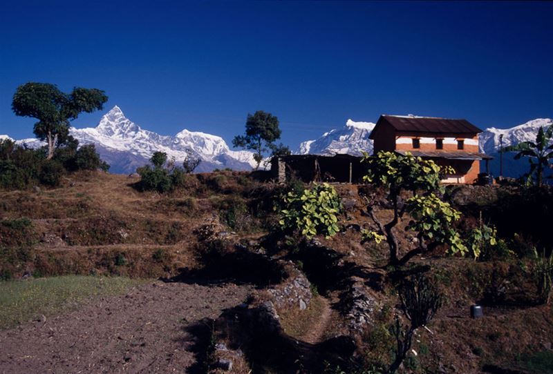 Trekking in Nepal - 16