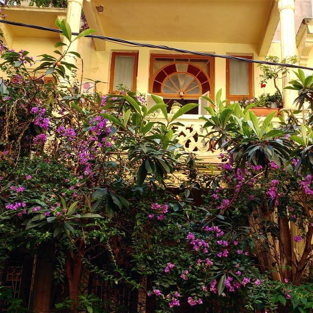 Tucked in an alley, hidden from view, a traditional Beirut home with... (Beirut, Lebanon)