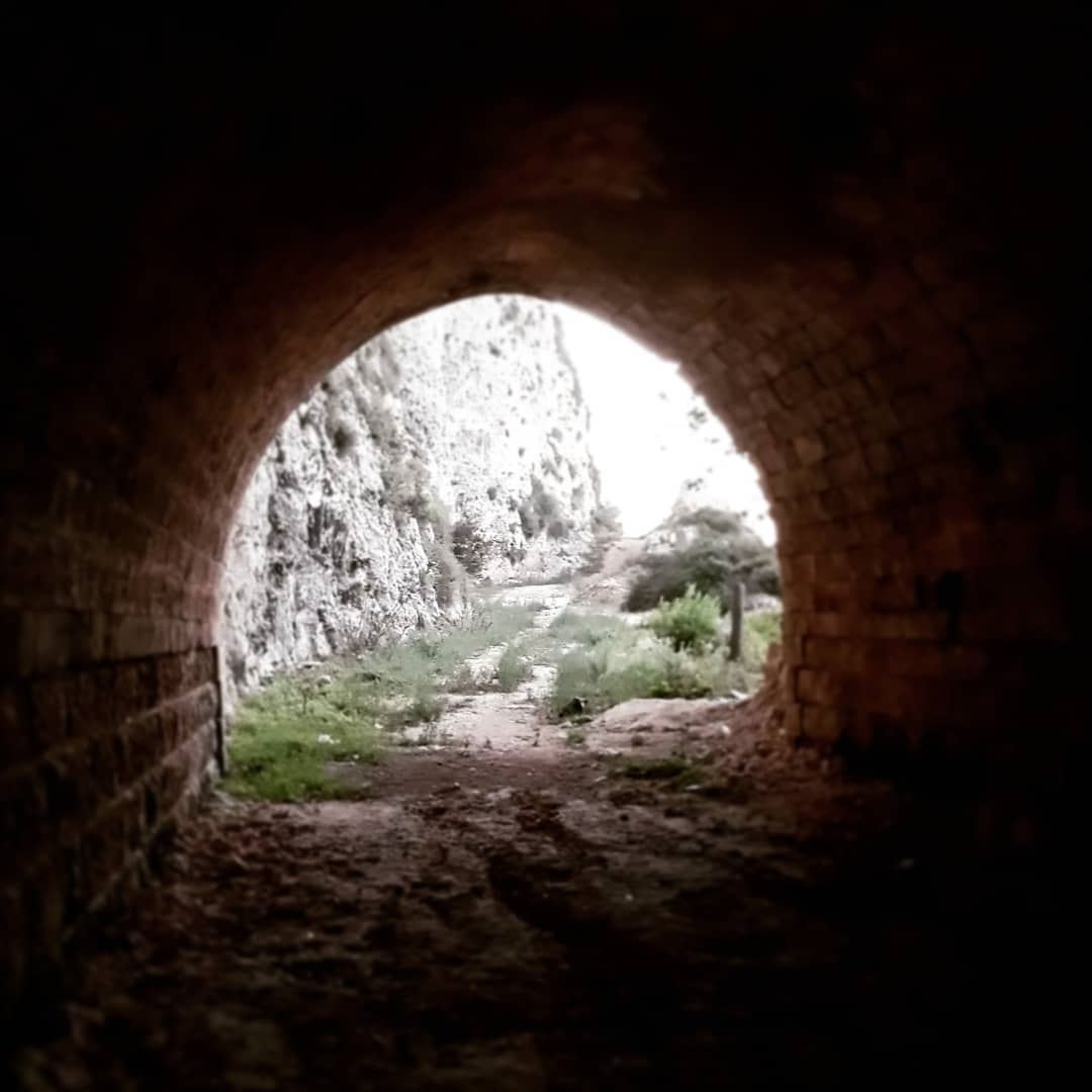  tunnel  light  instagram  instagood  adventuretime  adventure  green ...