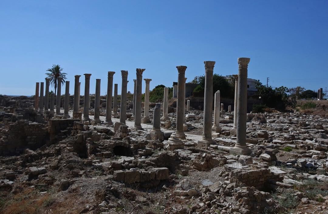 Tyre archaeological site.  Check out the video 🎥 of this amazing place by... (Soûr, Al Janub, Lebanon)