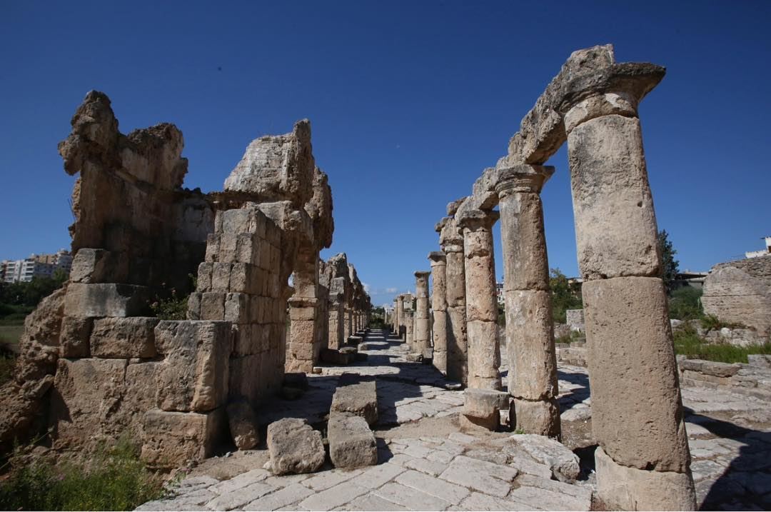 Tyre archaeological site - Roman Hyppodrome.  Check out the video 🎥 of... (Soûr, Al Janub, Lebanon)