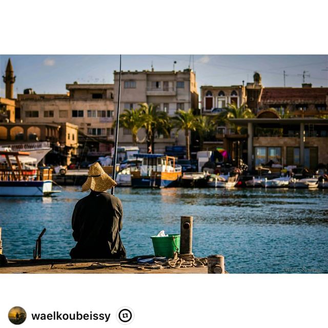 " tyre  lebanon  boats  fishing  fishinglife  buildings  city  sea ... (Tyre Fishermen Port.)