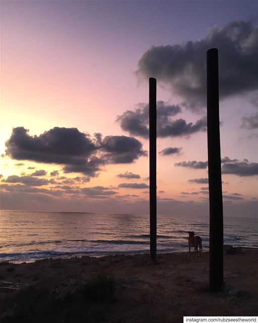 Tyre, Lebanon: the most beautiful of masterpieces 💫 rubzseestheworld ... (صور (لبنان))