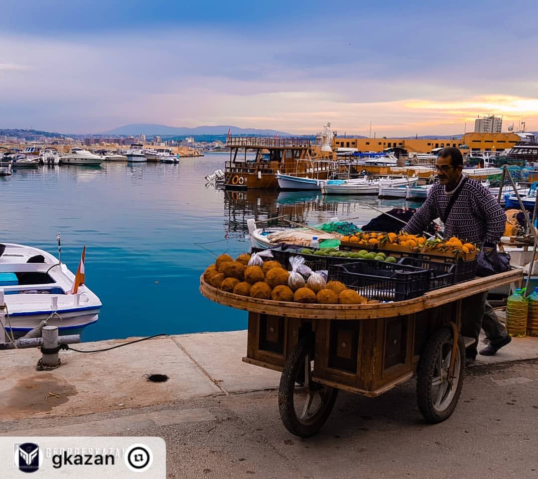 "Tyre port 🍊⛵______________________ lebanontimes  lebanon_pictures ...