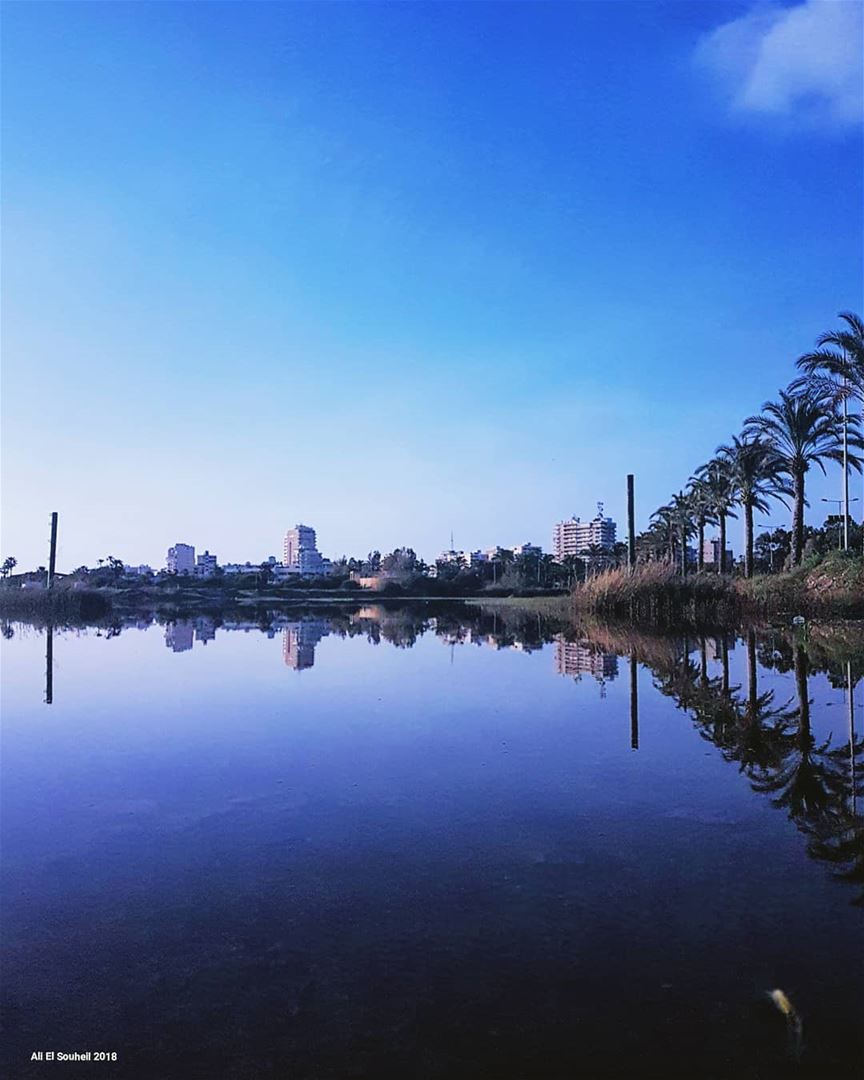  tyre  southlebanon  water  reflection  winter  palm  trees  city  sky ... (Tyre, Lebanon)