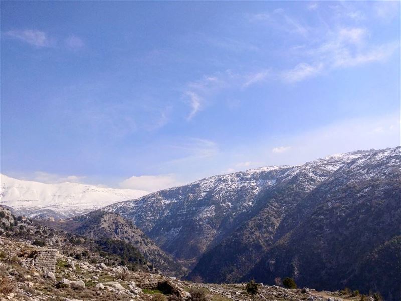 Unfiltered Rawness ❄🌳  lebanon  baskinta  mountains  snow  trees  view ... (Baskinta, Lebanon)