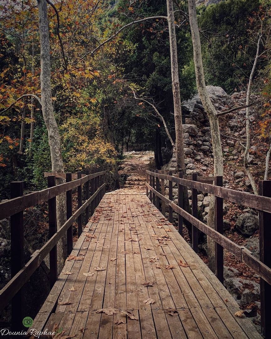 Until you cross the bridge of your insecurities, you can't begin to... (Kfardebian,Mount Lebanon,Lebanon)