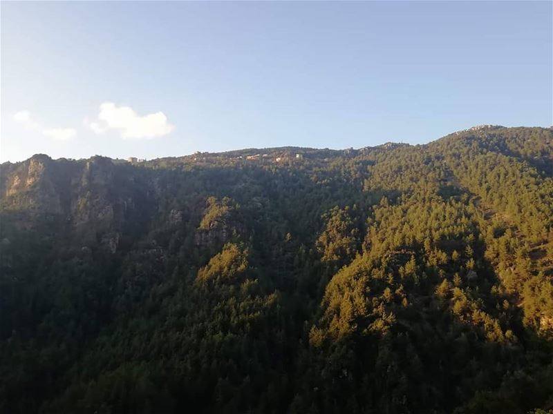 Up for a hike in  JabalMoussa this weekend?Call us at 71-944405 for more... (Jabal Moussa Biosphere Reserve)