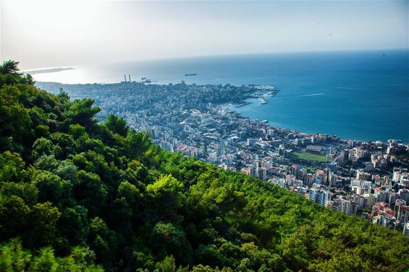 Up & Up 🌞✌️ Goodmorning  Sunndyday  Mountains  Nature  Green  Trees  High... (Jounieh - Harissa)