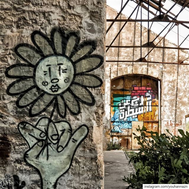 Urban art.  lebanon  livelovelebanon  whatsuplebanon  tripoli ... (Tripoli, Lebanon)